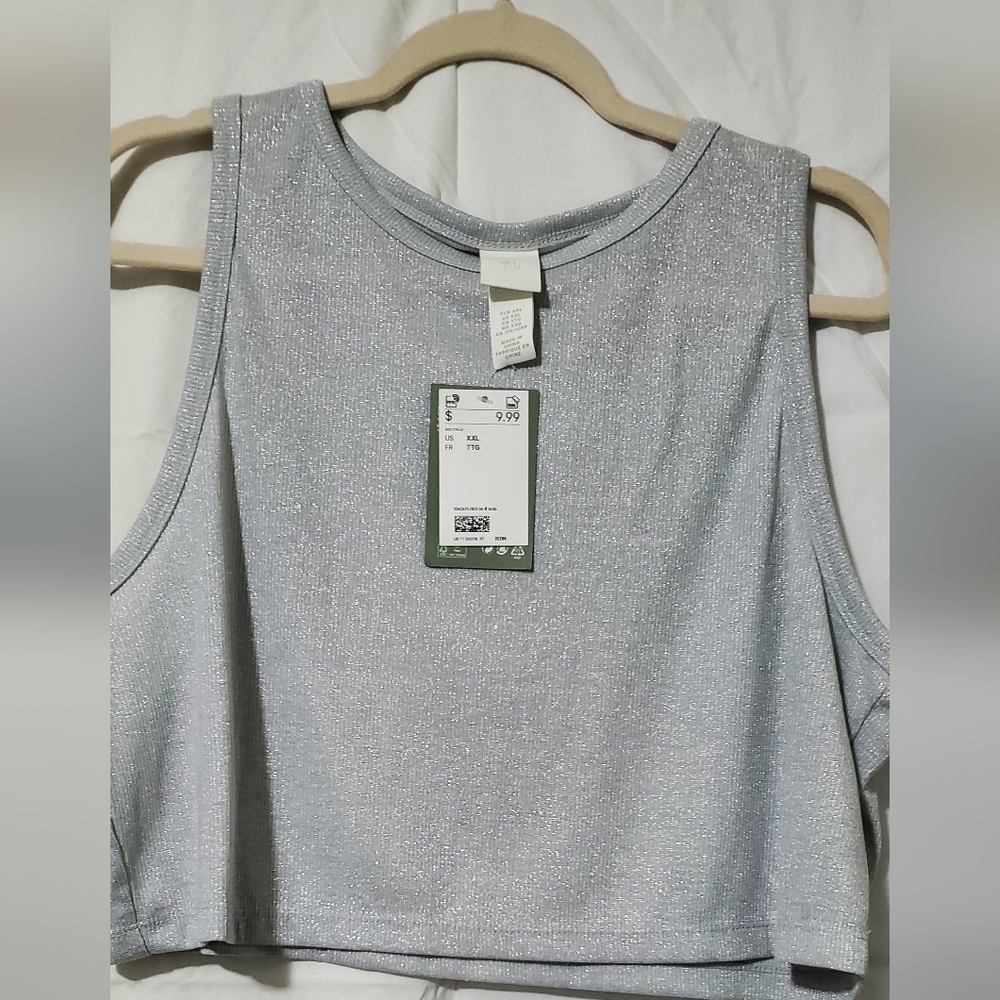 Shimmering Gray Women's Top